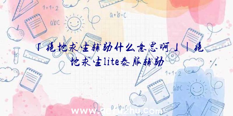 「绝地求生辅助什么意思啊」|绝地求生lite泰服辅助